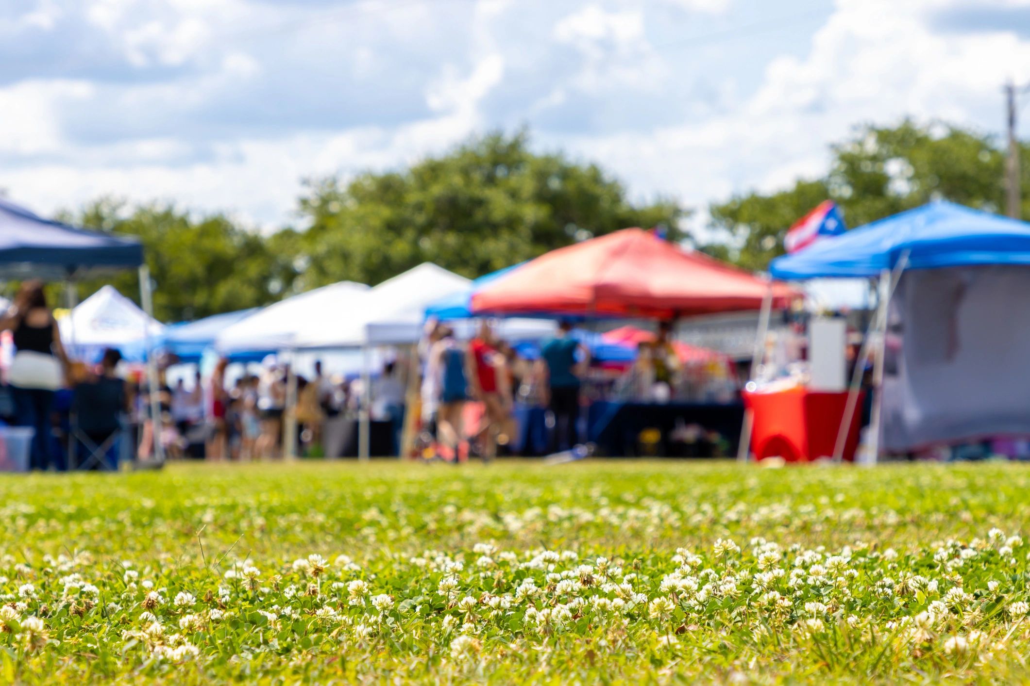 Western Springs community event